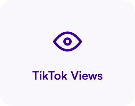 TikTok Views